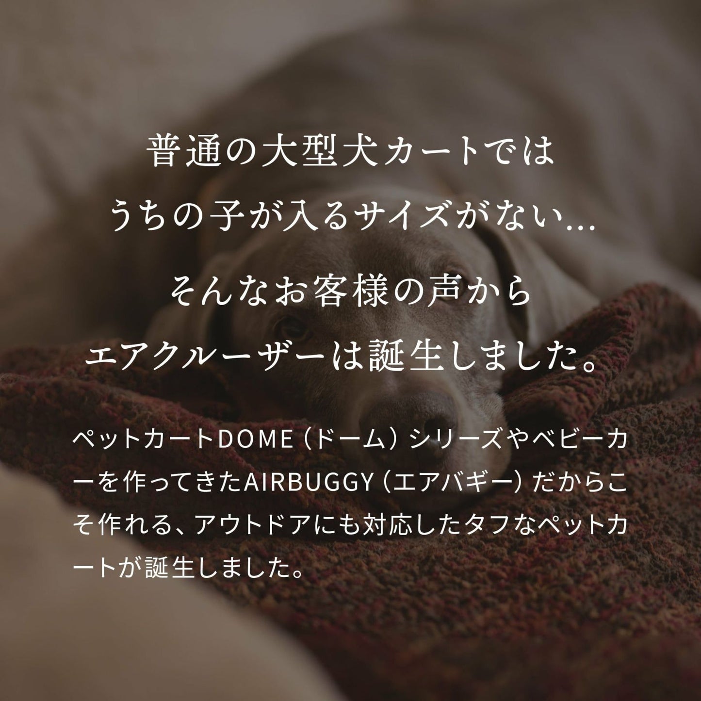 エアバギー フォー ペット AIRBUGGY FOR PET ペットカート キューブ エアクルーザー（AIR CRUISER） セット（ベース＋ルーフ） 大型犬・超大型犬用 モスグリーン