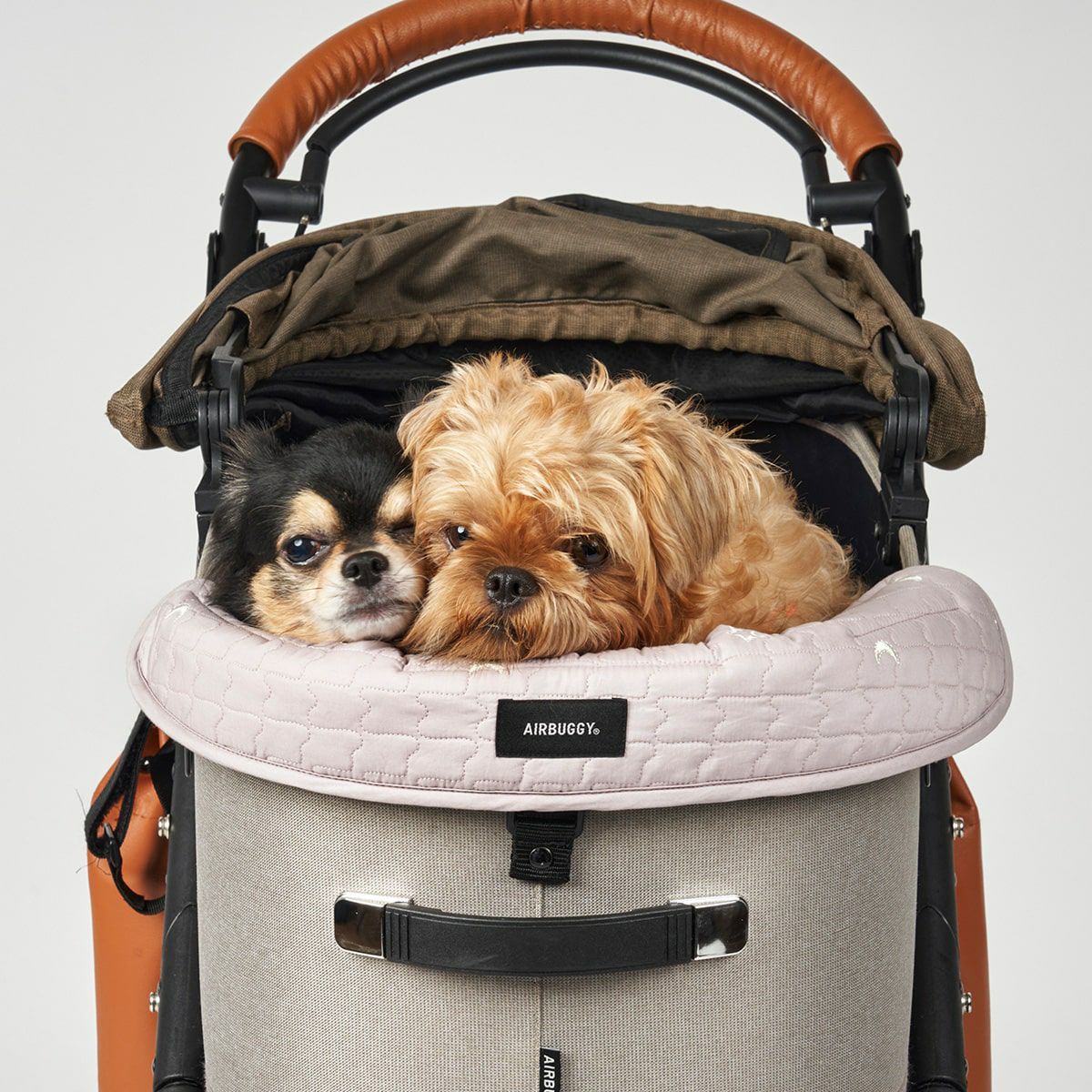 エアバギー フォー ペット AIRBUGGY FOR PET ドーム3用コーナークッション TIOTIO グレー【送料無料】