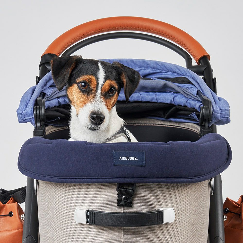 エアバギー フォー ペット AIRBUGGY FOR PET ドーム3/ウィズX コーナークッション コットン ライトグレー