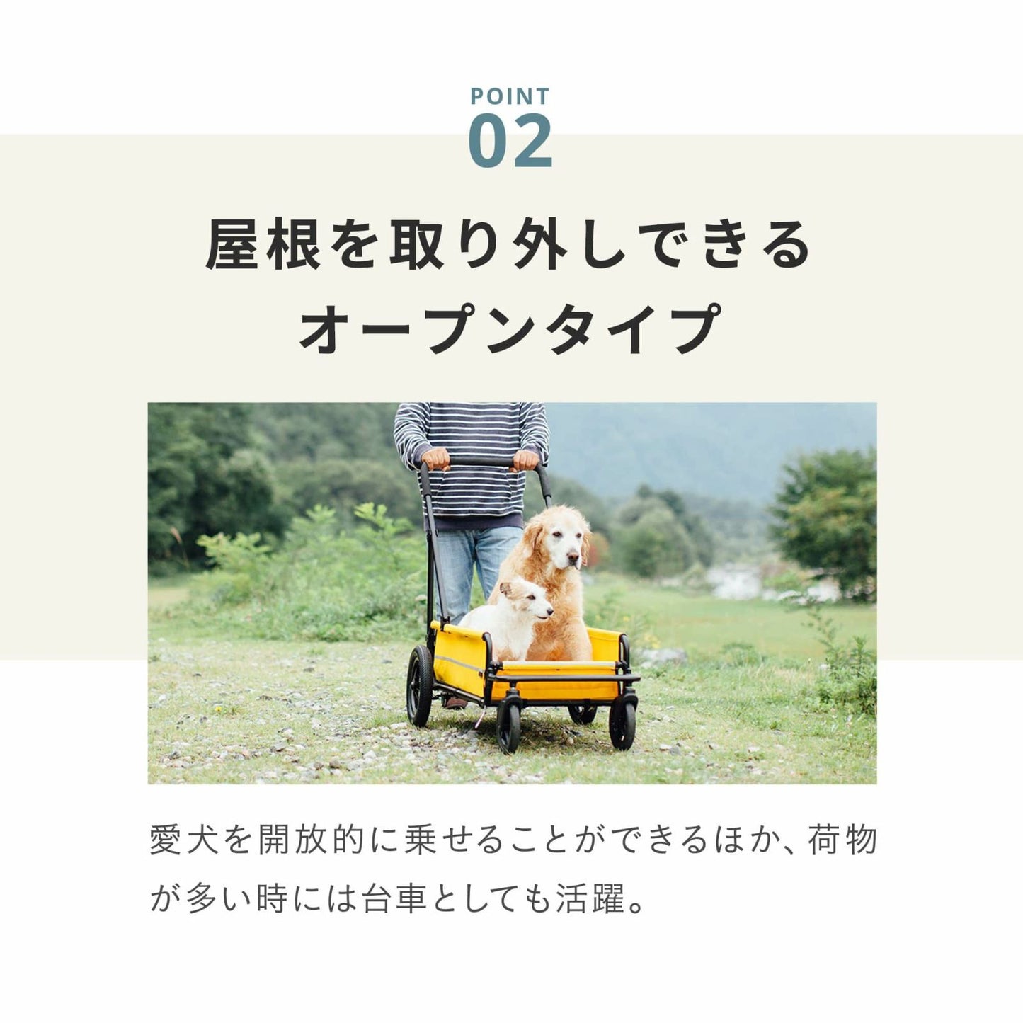 エアバギー フォー ペット AIRBUGGY FOR PET ペットカート キューブ キャリッジ（CARRIAGE）セット（台車＋ルーフ） モスグリーン
