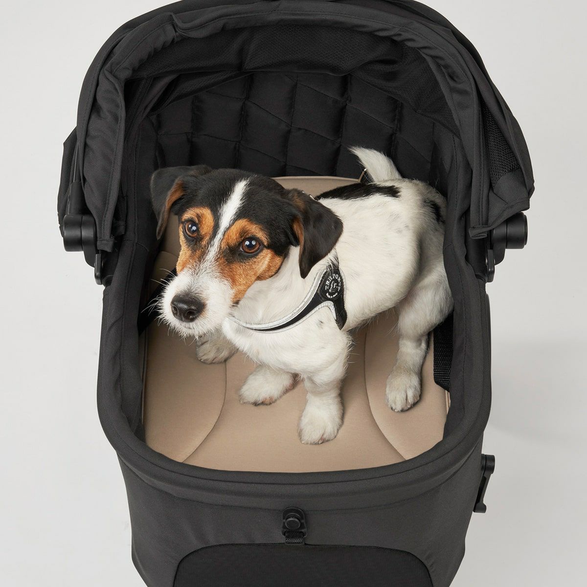 エアバギー フォー ペット AIRBUGGY FOR PET WIZ X専用マット アイボリー【送料無料】