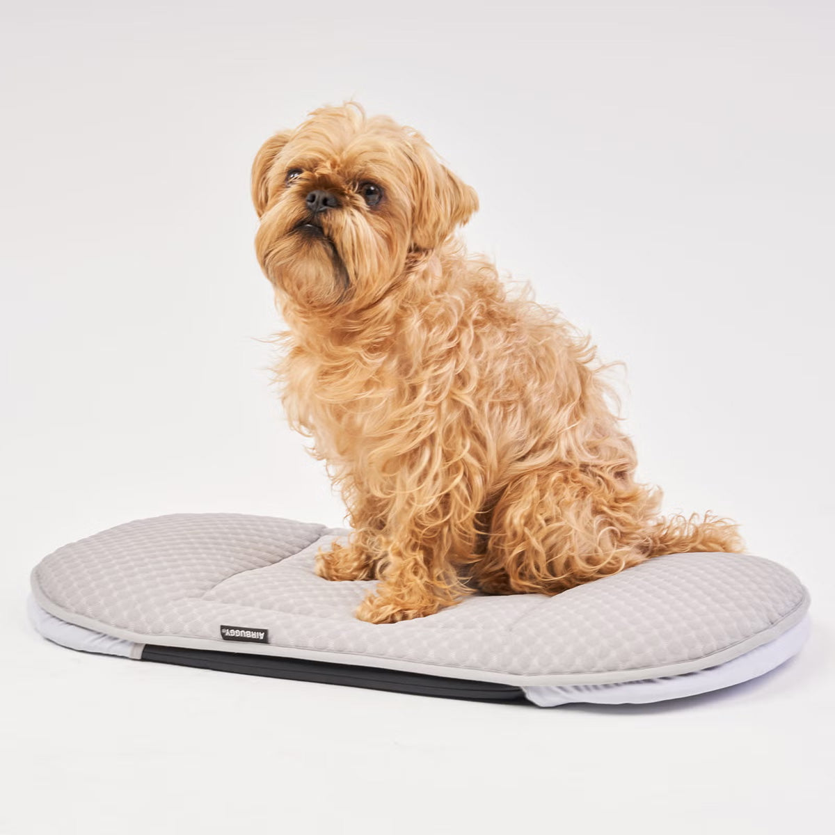 エアバギー フォー ペット ドームシリーズ専用 ドームマット クールタッチ AIRBUGGY FOR PET DOME MAT COOL ラージ