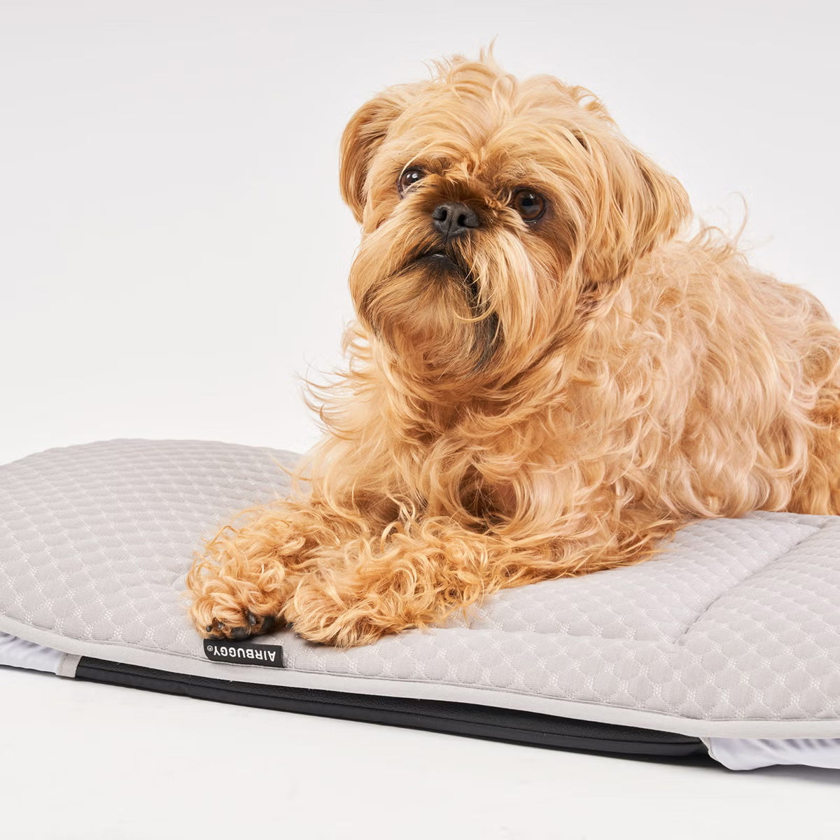 エアバギー フォー ペット ドームシリーズ専用 ドームマット クールタッチ AIRBUGGY FOR PET DOME MAT COOL レギュラー