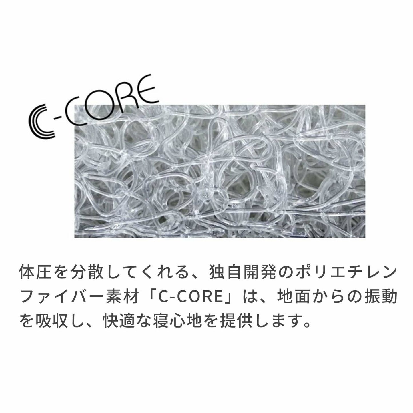 エアバギー フォー ペット AIRBUGGY FOR PET ペットカート ドーム3用 C-COREマット レギュラー ディムグレー