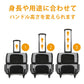エアバギー フィット エアバギー犬 アースグレー 送料無料 AirBuggy for PET ペットキャリー ペットカート キャスター付き 小型犬 中型犬 猫 フラット 高さ切り替え