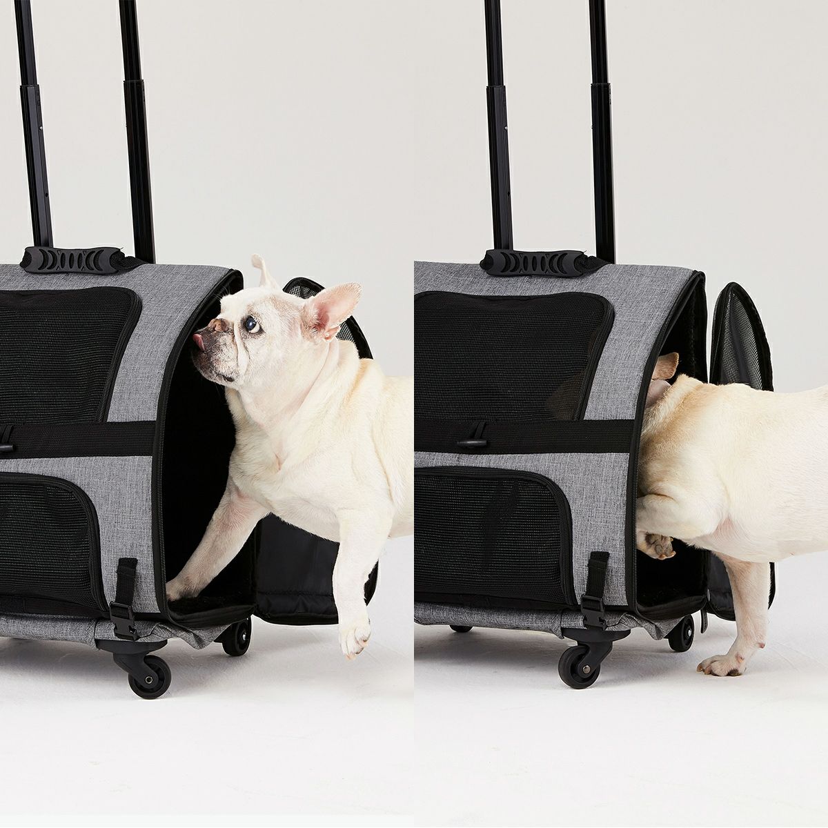 エアバギー フォー ペット AIRBUGGY FOR PET フィット アースサンド【送料無料】