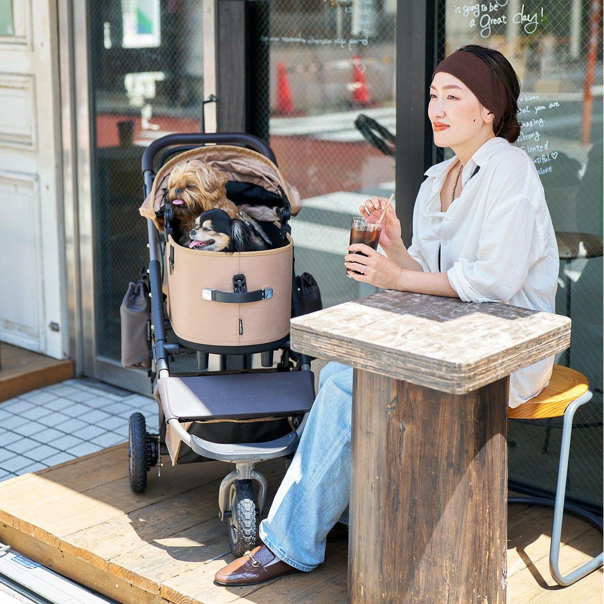 エアバギー フォー ペット AIRBUGGY FOR PET ペットカート ドーム3 プレミア セット ラージ シードベージュ