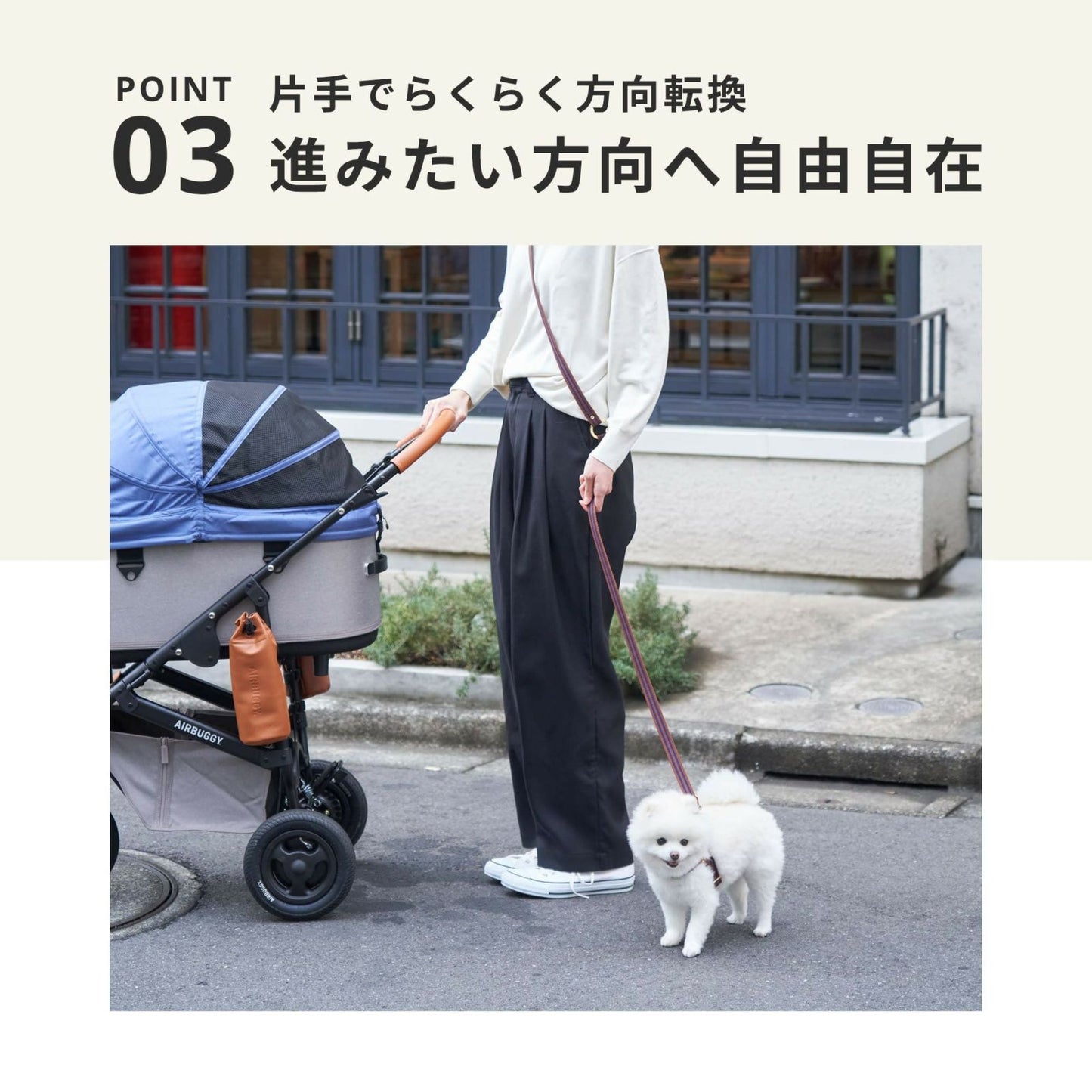 エアバギー フォー ペット AIRBUGGY FOR PET ペットカート ドーム3 プレミア セット ラージ モスグリーン