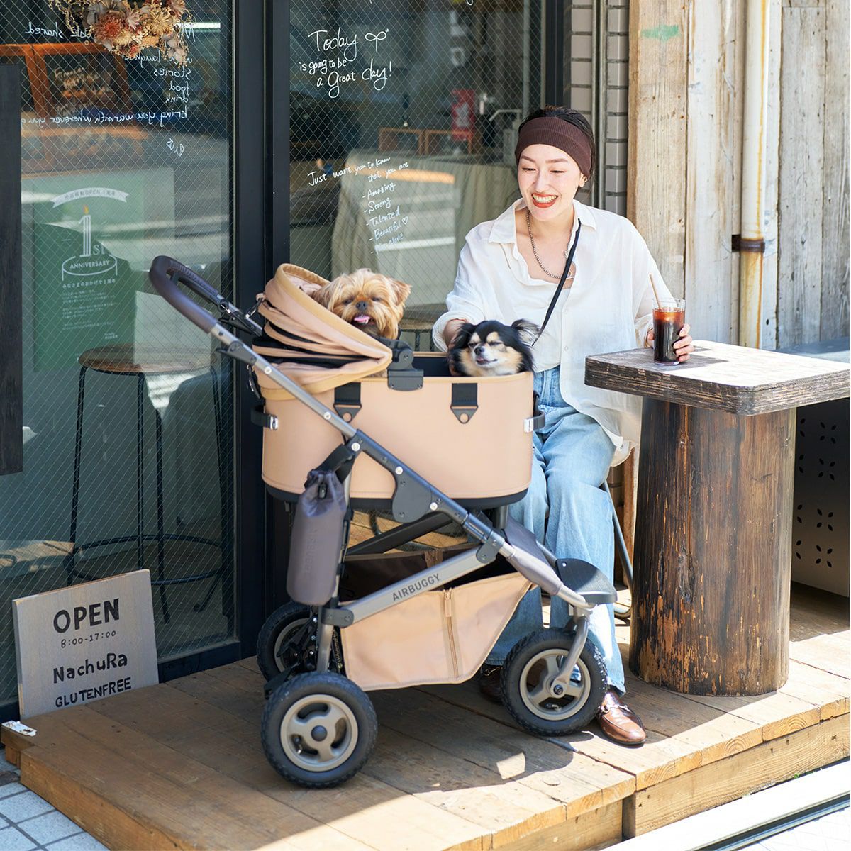 エアバギー フォー ペット AIRBUGGY FOR PET ペットカート ドーム3 プレミア セット レギュラー モスグリーン