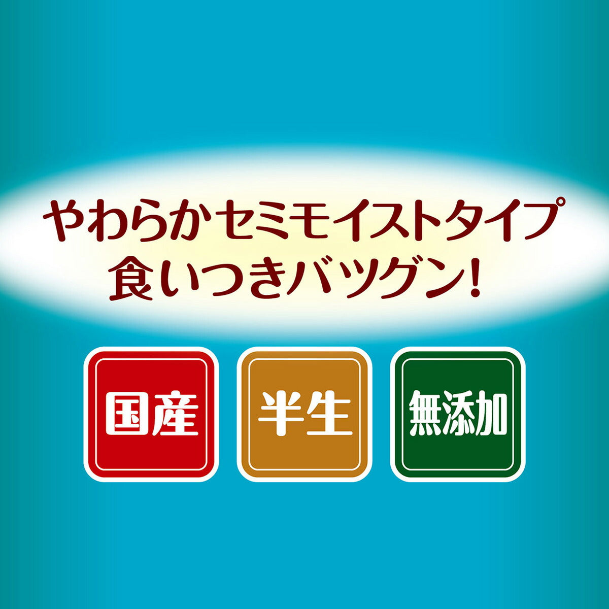 アドメイト セミモイスト ドッグフード more soft フィッシュシニア 50g