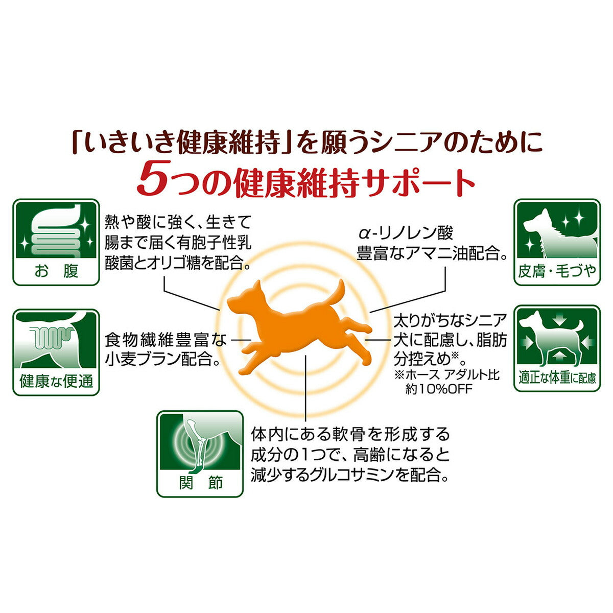アドメイト セミモイスト ドッグフード more soft ホースシニア 50g