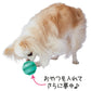 アドメイト 犬用おもちゃ Enjoy！かむラバー デンタルボール