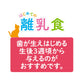 アイシア キャットフード 国産 健康缶パウチ はじめての離乳食 まぐろとささみペースト 40g×96個セット【送料無料】 猫缶