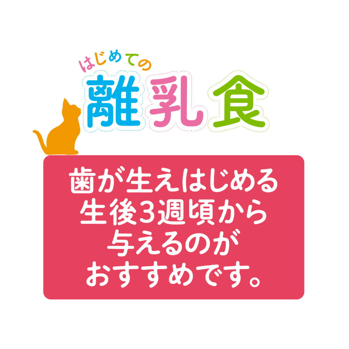 アイシア キャットフード 国産 健康缶パウチ はじめての離乳食 まぐろとささみペースト 40g 猫缶