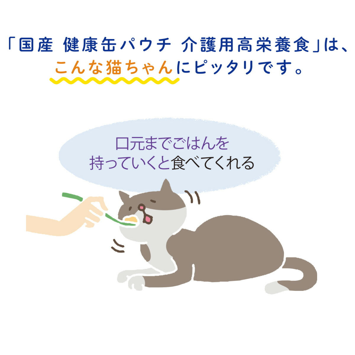 アイシア キャットフード 国産 健康缶パウチ 介護用高栄養食 スプーンで与えるまぐろペースト 30g 猫缶