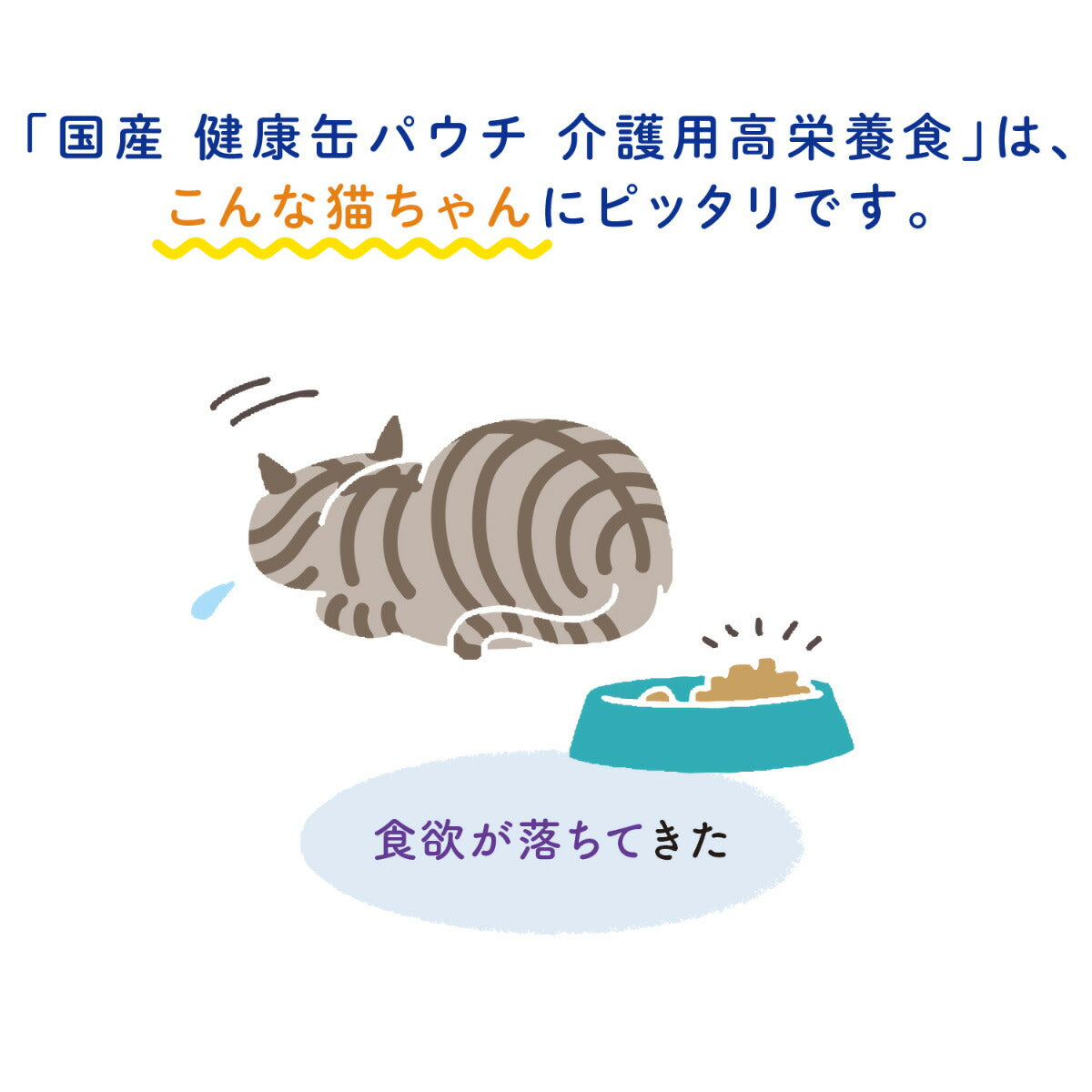 アイシア キャットフード 国産 健康缶パウチ 介護用高栄養食 スプーンで与えるまぐろペースト 30g 猫缶