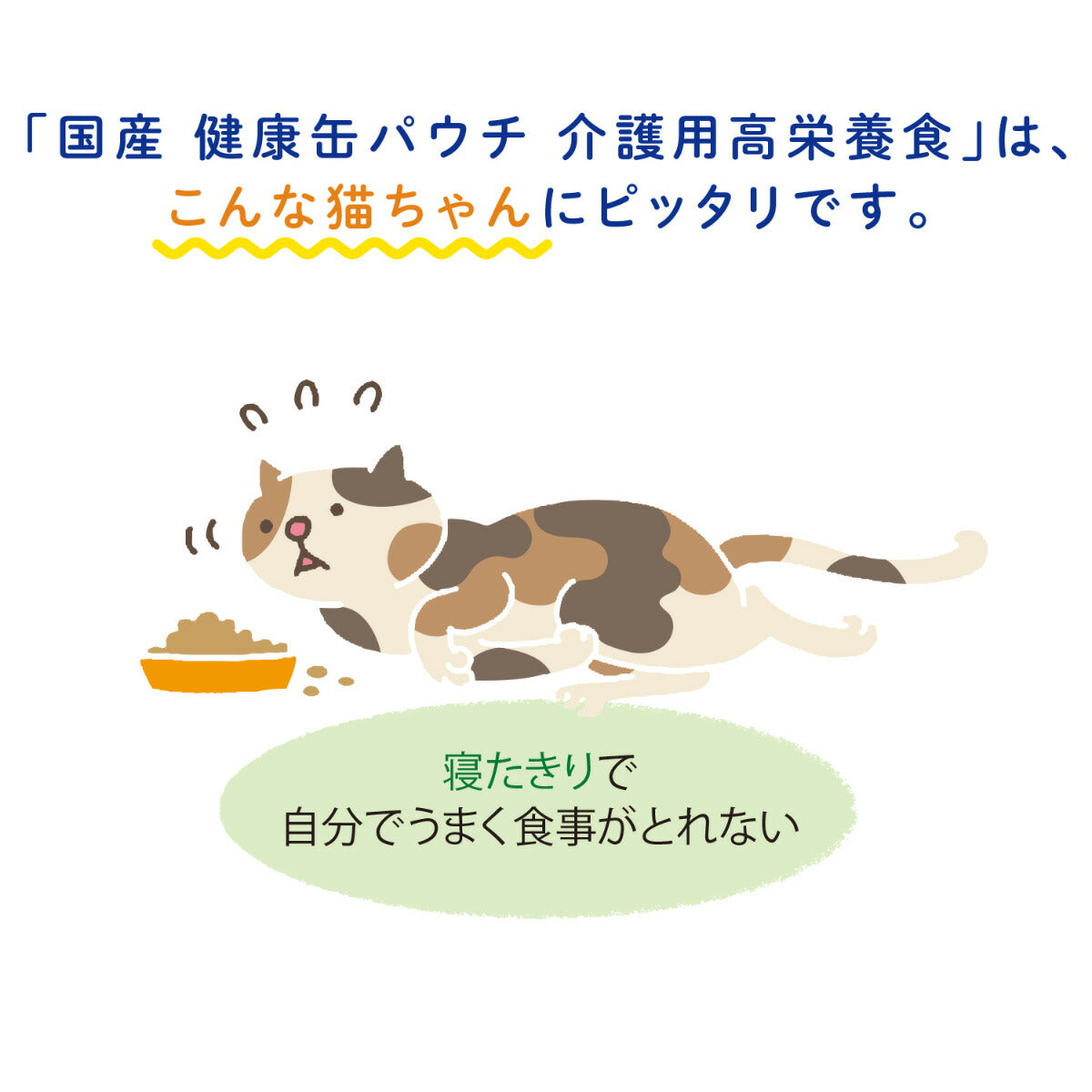 アイシア キャットフード 国産 健康缶パウチ 介護用高栄養食 シリンジで与えるとろとろまぐろペースト 30g×96個セット【送料無料】 猫缶