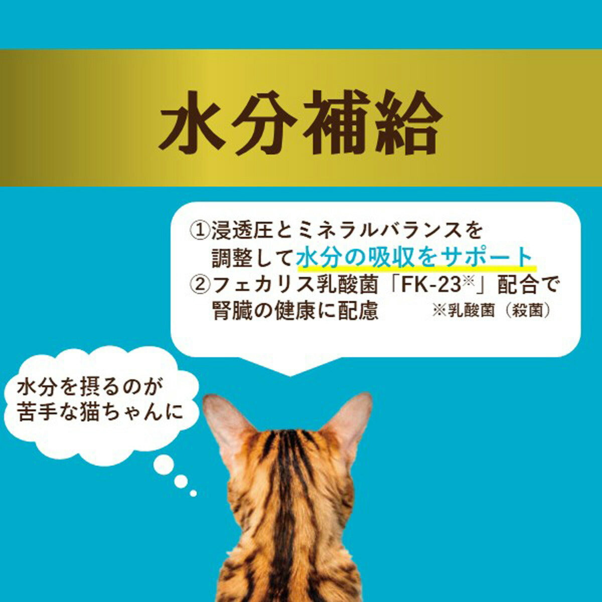 アイシア i CARE 水分補給 まぐろペースト キャットフード（一般食） 35g×96個セット【送料無料】 国産 着色料・発色剤・香料・増粘安定剤不使用 ペーストタイプ