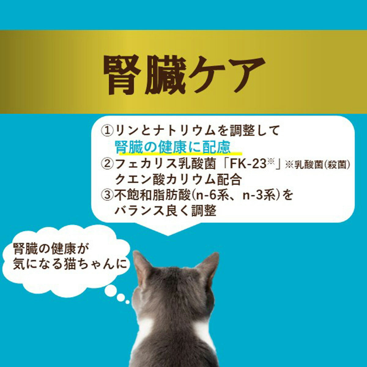 アイシア i CARE 腎臓ケア かつおペースト キャットフード（一般食） 35g 国産 着色料・発色剤・香料・増粘安定剤不使用 ペーストタイプ