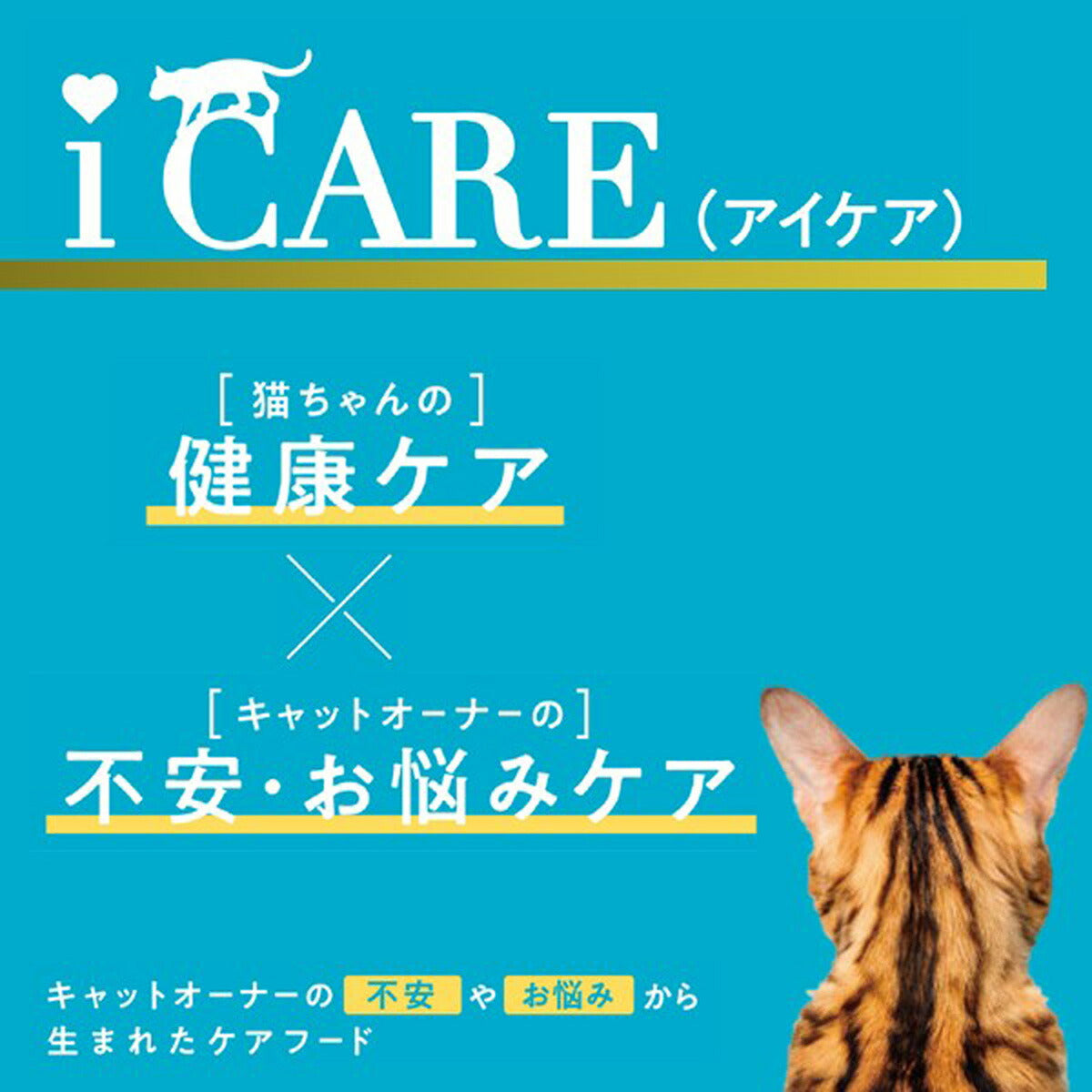 アイシア i CARE 食物アレルギーケア かつおスープ キャットフード（一般食） 35g×96個セット【送料無料】 国産 着色料・発色剤・香料・増粘安定剤不使用 ペーストタイプ