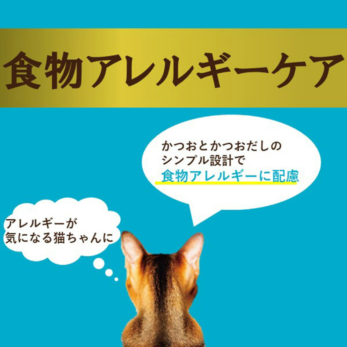 アイシア i CARE 食物アレルギーケア かつおスープ キャットフード（一般食） 35g 国産 着色料・発色剤・香料・増粘安定剤不使用 ペーストタイプ