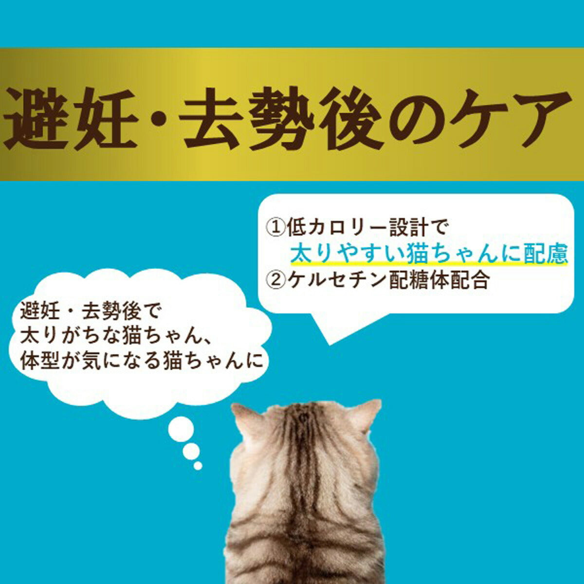 アイシア i CARE 避妊・去勢後のケア まぐろペースト キャットフード（一般食） 35g×96個セット【送料無料】 国産 着色料・発色剤・香料・増粘安定剤不使用 ペーストタイプ