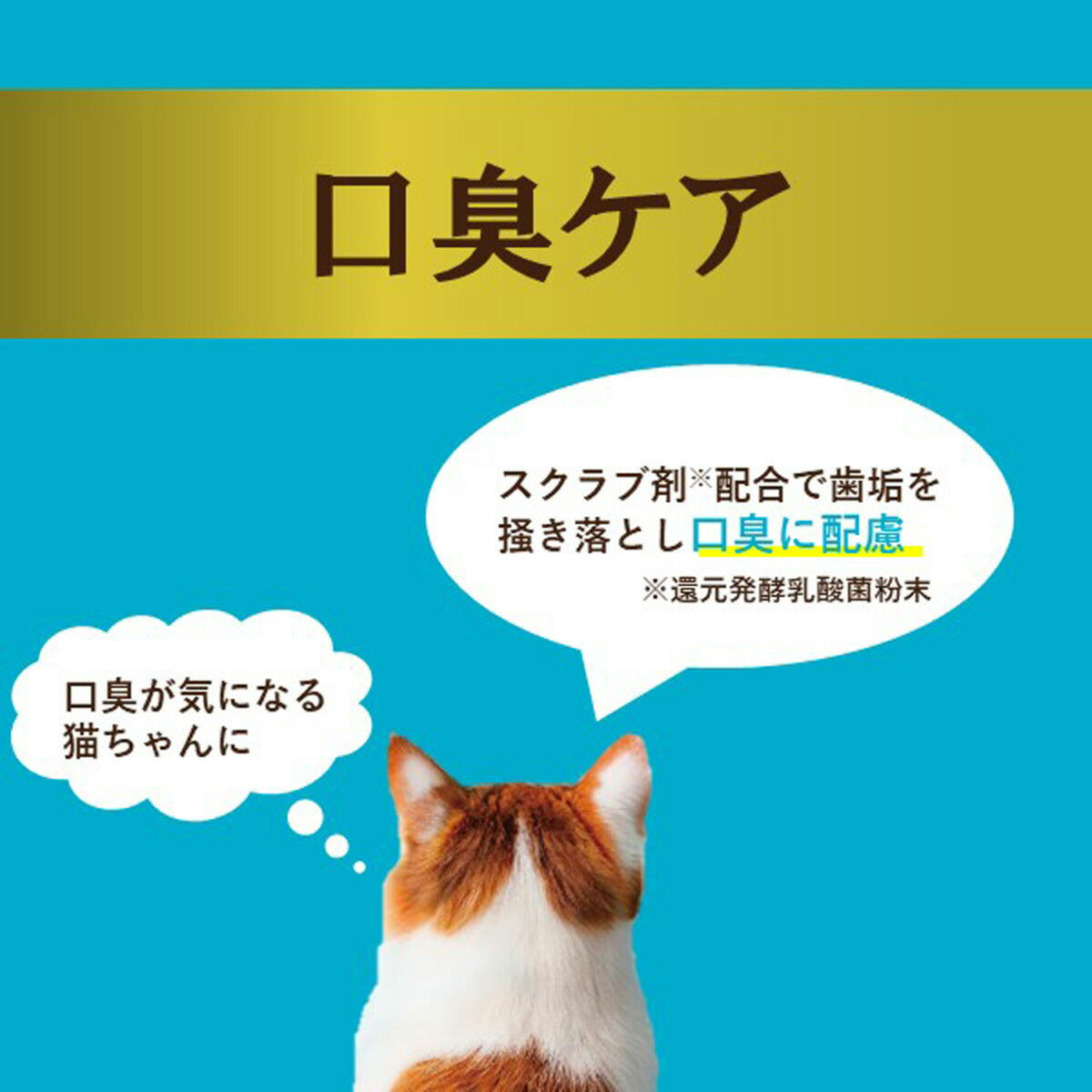 アイシア i CARE 口臭ケア まぐろペースト キャットフード（一般食） 35g 国産 着色料・発色剤・香料・増粘安定剤不使用 ペーストタイプ