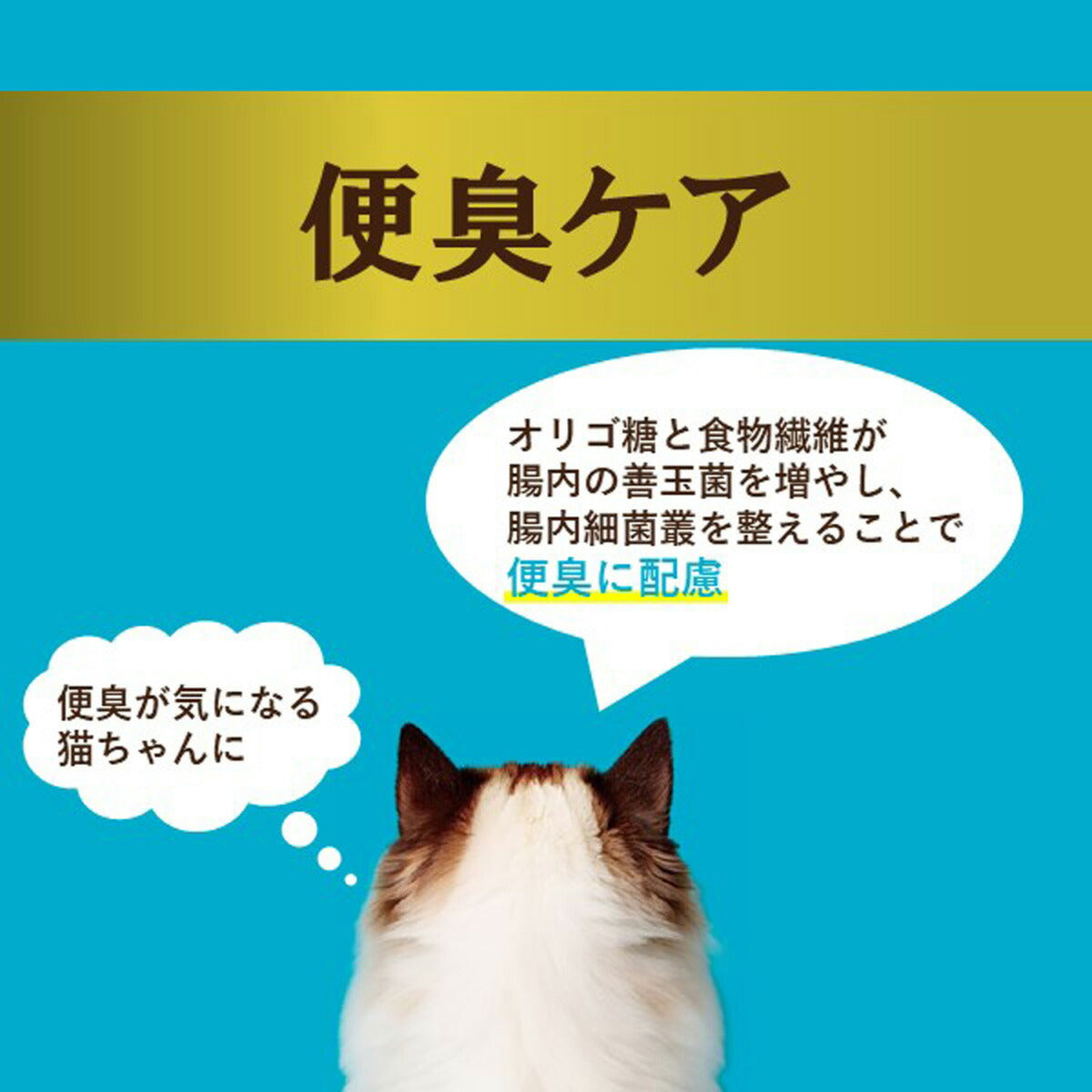 アイシア i CARE 便臭ケア まぐろペースト キャットフード（一般食） 35g 国産 着色料・発色剤・香料・増粘安定剤不使用 ペーストタイプ