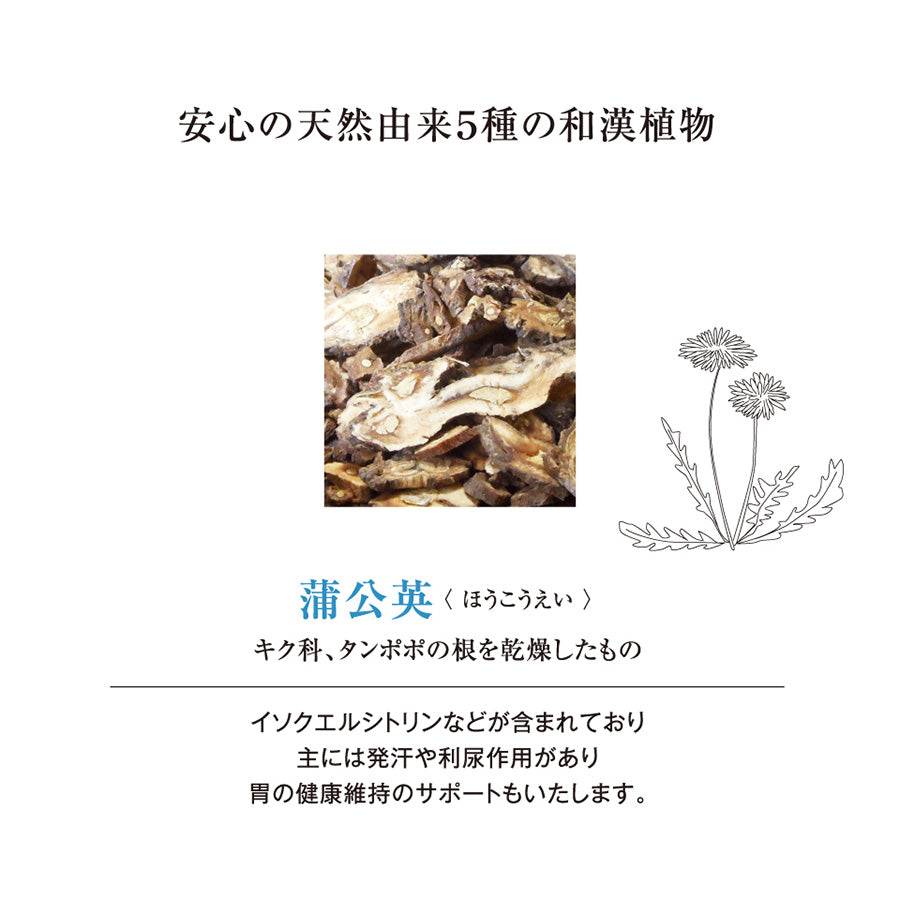 ALICIA アリシア SKIN LIKE A PRINCESS 犬猫用 サプリメント 15g