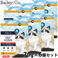 ベイリーコー Bailey＋Co キャットトリーツ フリーズドライ キングサーモン 70g×6個セット