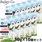 ベイリーコー Bailey＋Co ドッグフード フリーズドライ コンプリート ラム 50g×10個セット