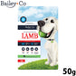 ベイリーコー Bailey＋Co ドッグフード フリーズドライ コンプリート ラム 50g
