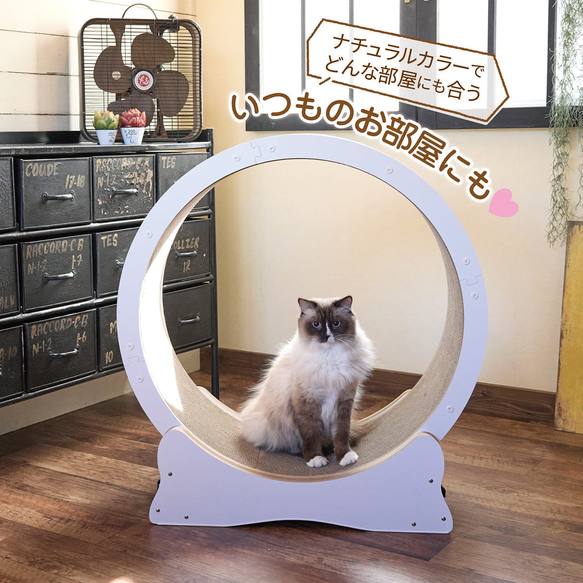 ボンビアルコン BONBI キャットホイール ホワイト80