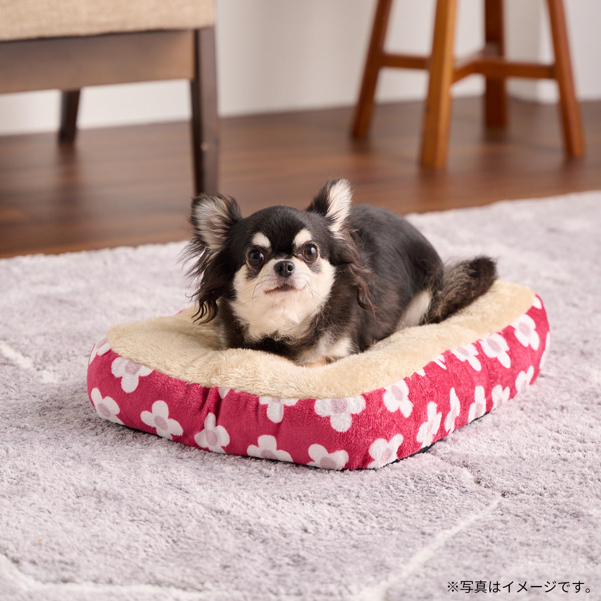 ボンビアルコン もこもこスクエアクッション S リーフブルー フラットベッド スクエアベッド 暖か 2024冬 新作