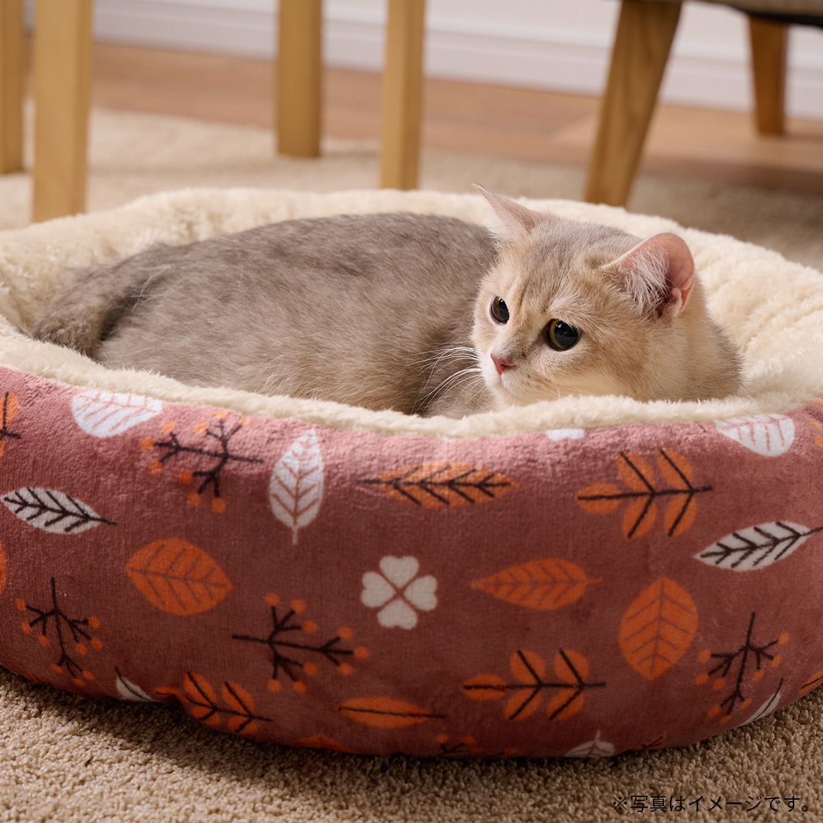 ボンビアルコン もこもこラウンドベッド M リーフレッド【送料無料】 丸型ベッド 暖か 2024冬 新作