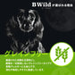 ビーワイルド B Wild ドッグフード ラム with ポテト＆エンドウ豆 グレインフリー 800g
