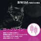 ビーワイルド B Wild キャットフード グローアップ ガチョウ ローグレイン キトン 400g