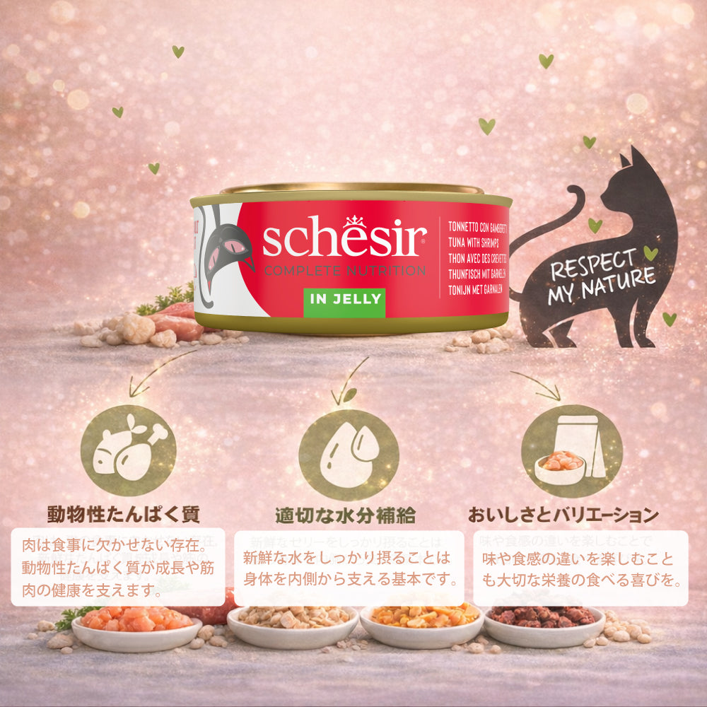Schesir（シシア）キャットシリーズ マルチパック ツナ＆エビ 50g×6缶×8個セット