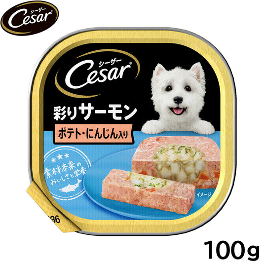 シーザー ドッグフード トレイ 成犬用 彩りサーモン ポテト・にんじん入り 100g 缶詰