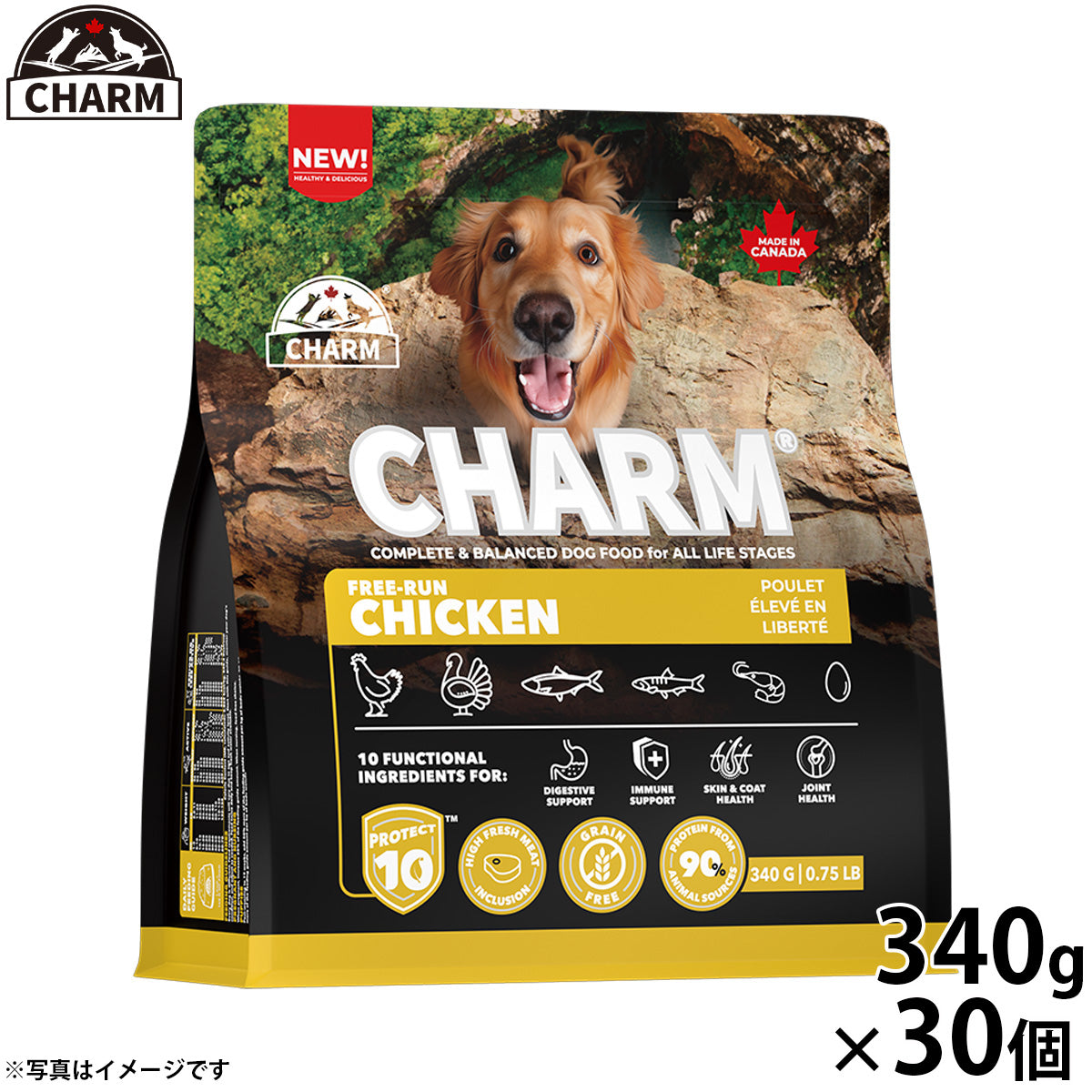 チャーム CHARM フリーランチキン ドッグフード グレインフリー 340g×30個