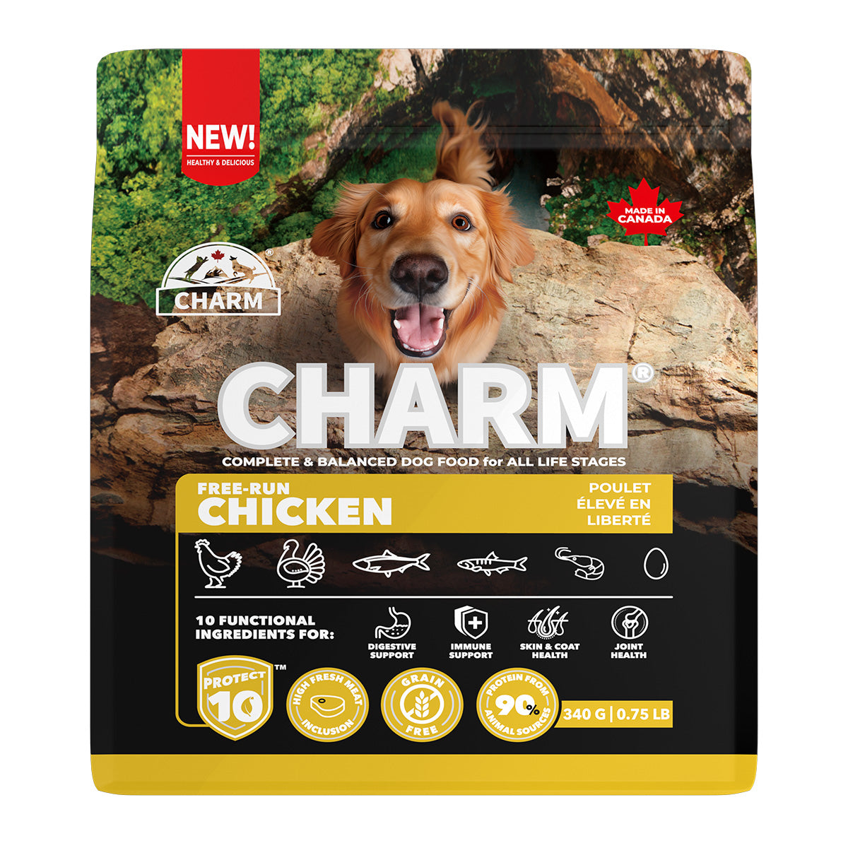 チャーム CHARM フリーランチキン ドッグフード グレインフリー 340g×30個