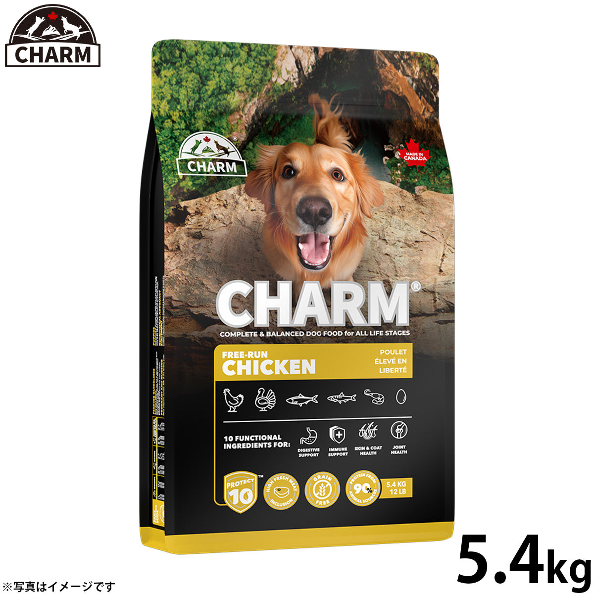 チャーム CHARM フリーランチキン ドッグフード グレインフリー 5.4kg