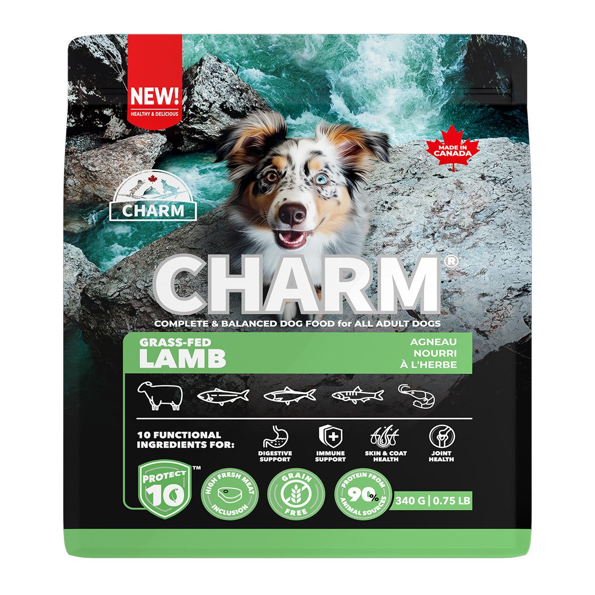 チャーム CHARM グラスフェッドラム ドッグフード グレインフリー 340g×30個