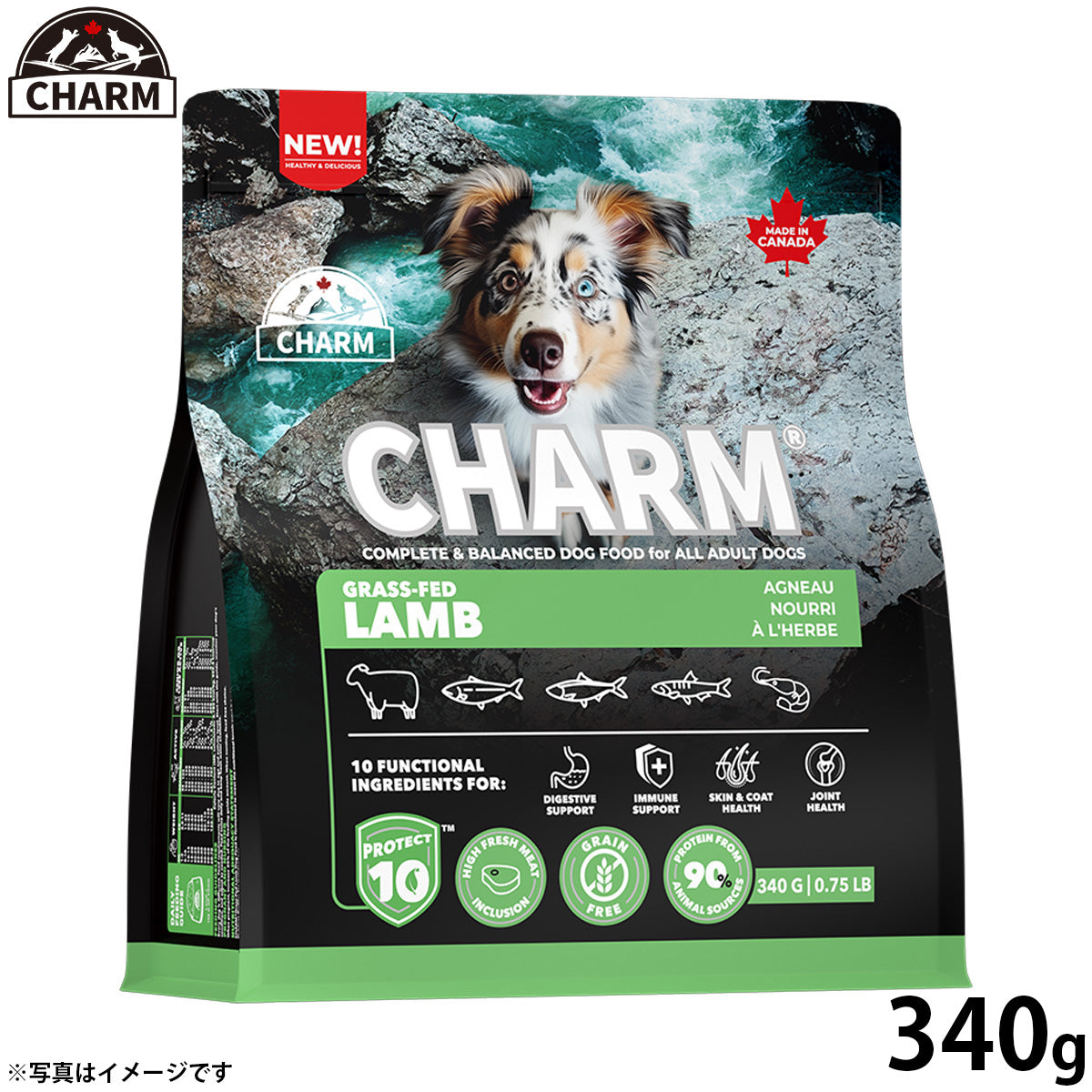 チャーム CHARM グラスフェッドラム ドッグフード グレインフリー 340g