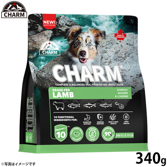 チャーム CHARM グラスフェッドラム ドッグフード グレインフリー 340g