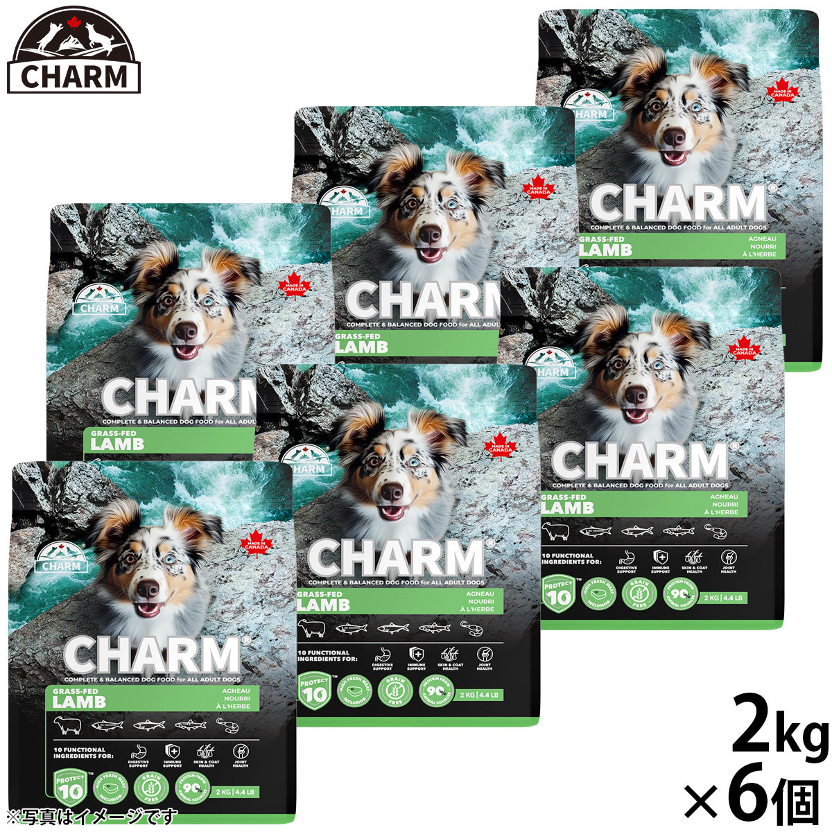 チャーム CHARM グラスフェッドラム ドッグフード グレインフリー 2kg×6個