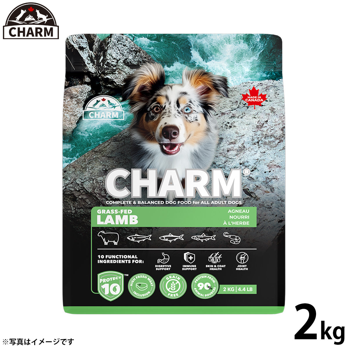 チャーム CHARM グラスフェッドラム ドッグフード グレインフリー 2kg