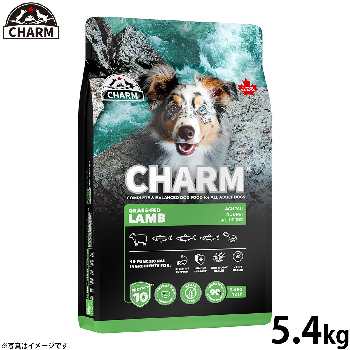 チャーム CHARM グラスフェッドラム ドッグフード グレインフリー 5.4kg