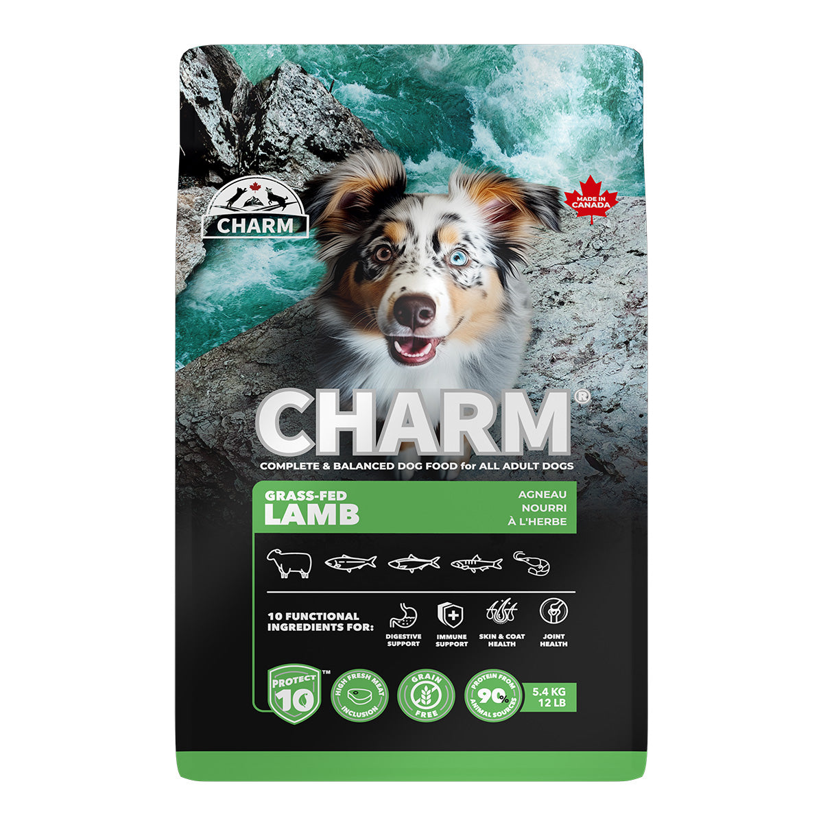チャーム CHARM グラスフェッドラム ドッグフード グレインフリー 5.4kg