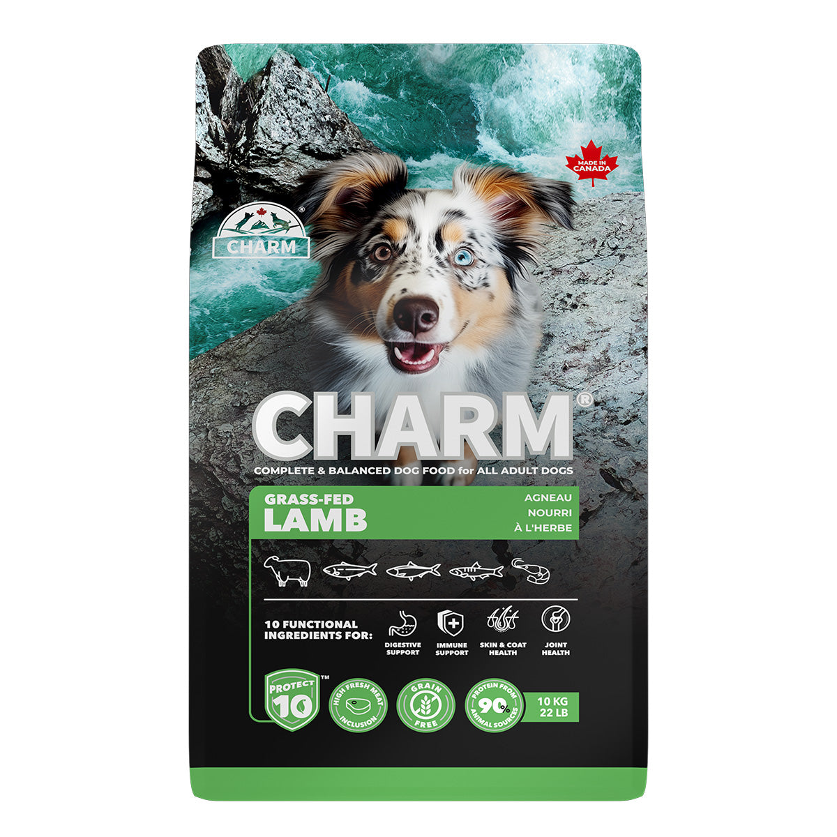 チャーム CHARM グラスフェッドラム ドッグフード グレインフリー 10kg